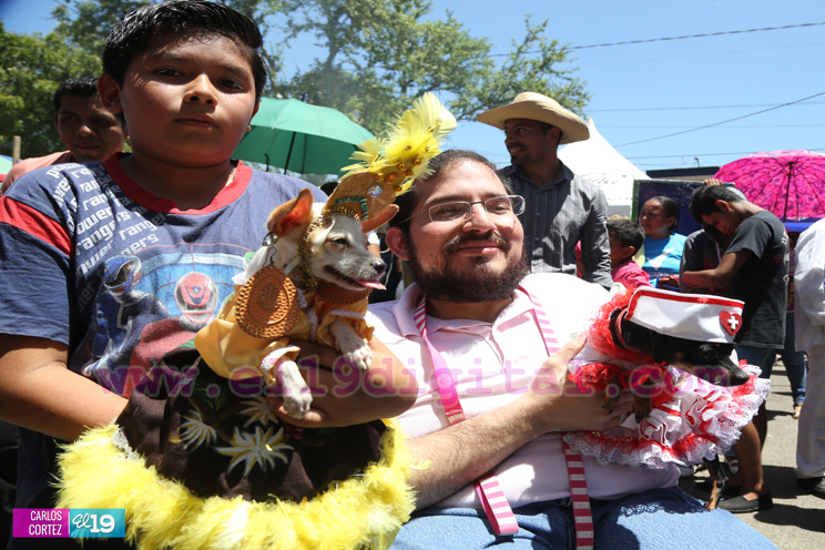Masaya celebra un a&ntilde;o m&aacute;s a San L&aacute;zaro con el tradicional desfile de mascotas  